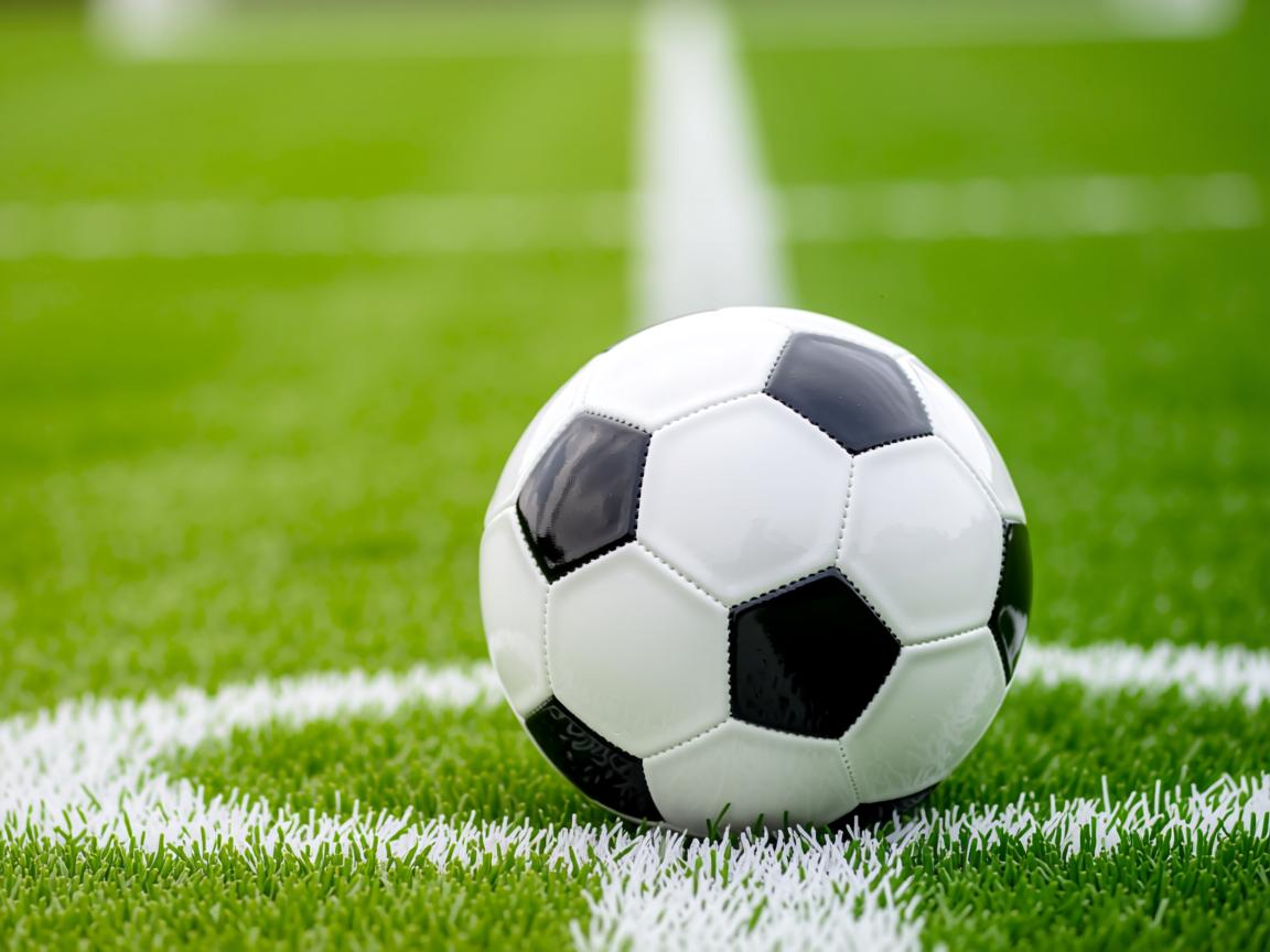 开运体育电脑版-“2025滑轮赛：新生代选手的惊艳表现引爆全场”