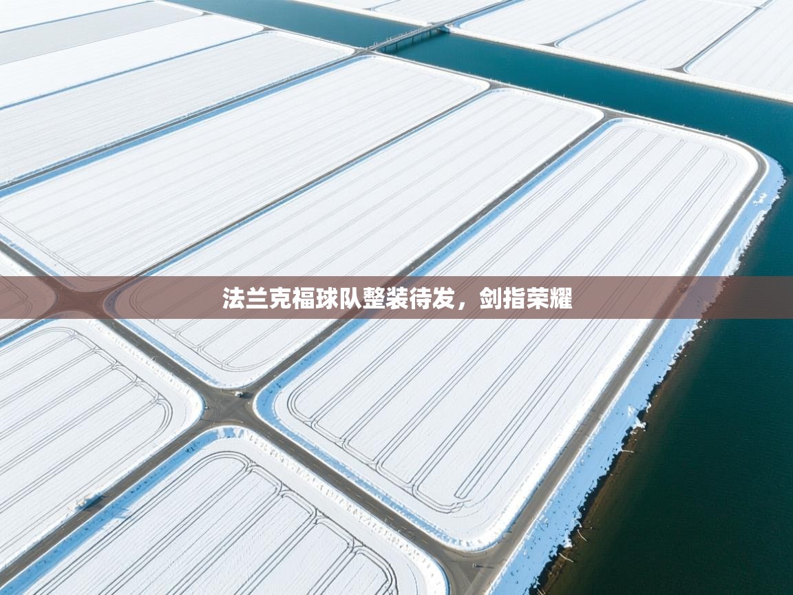 法兰克福球队整装待发，剑指荣耀  第1张