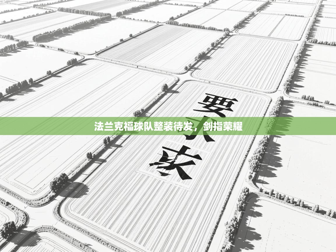 法兰克福球队整装待发，剑指荣耀  第2张