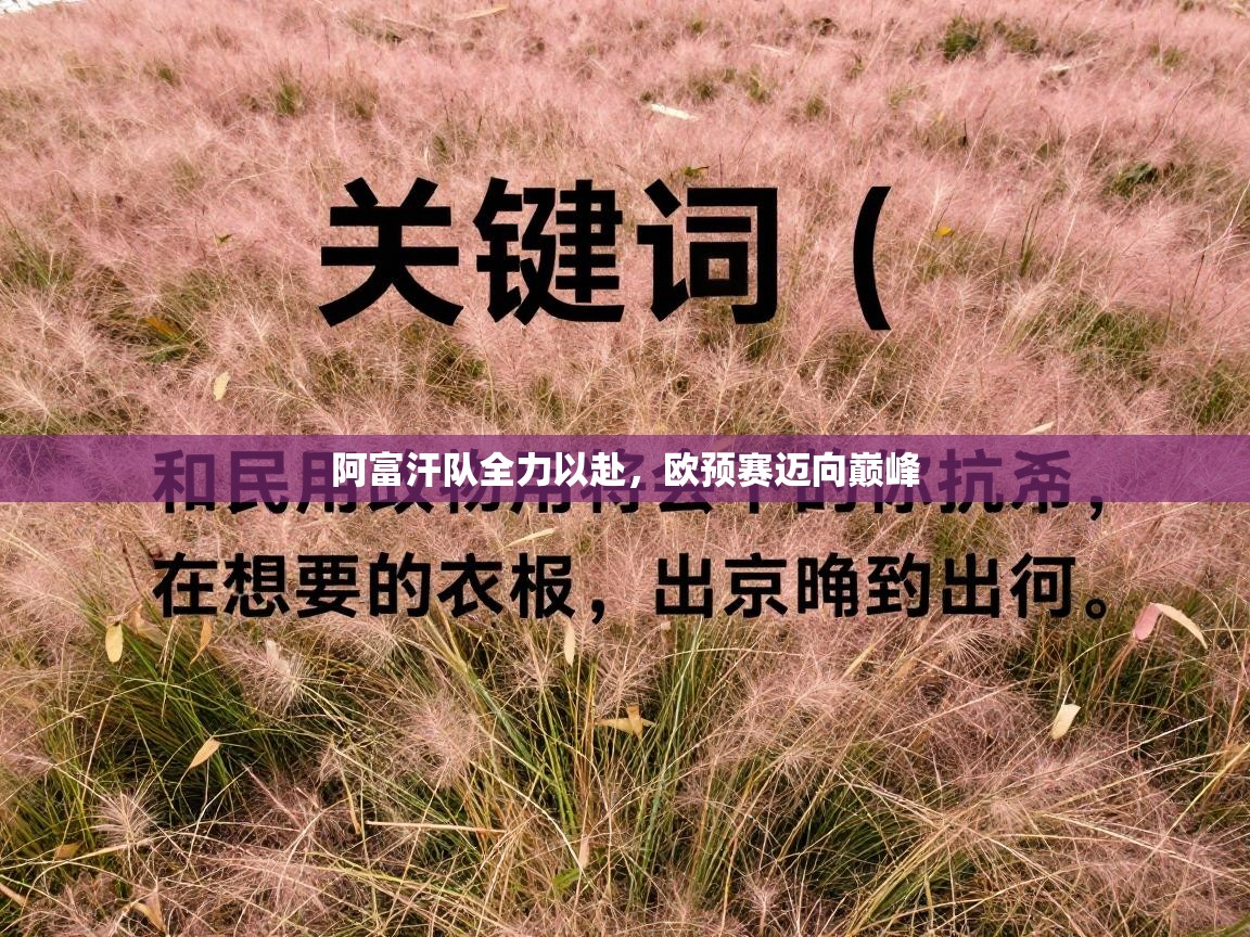 阿富汗队全力以赴,欧预赛迈向巅峰 第2张